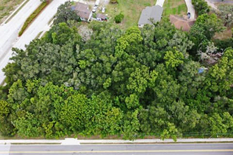 Terrain à vendre à Altamonte Springs, Floride № 2136047 - photo 5