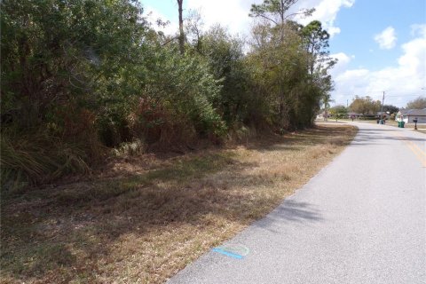 Land in Punta Gorda, Florida № 2160693 - photo 18