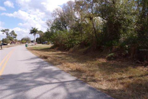 Land in Punta Gorda, Florida № 2160693 - photo 20