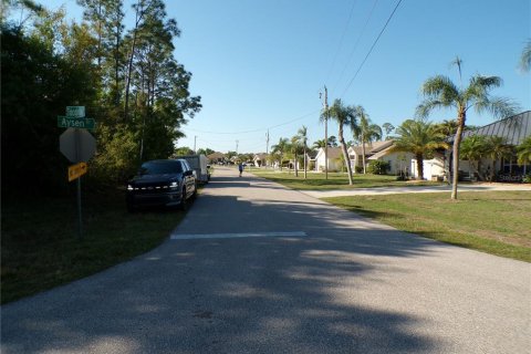 Land in Punta Gorda, Florida № 2160693 - photo 9