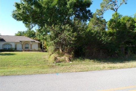 Land in Punta Gorda, Florida № 2160693 - photo 2