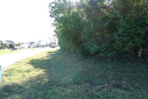 Land in Punta Gorda, Florida № 2160693 - photo 14