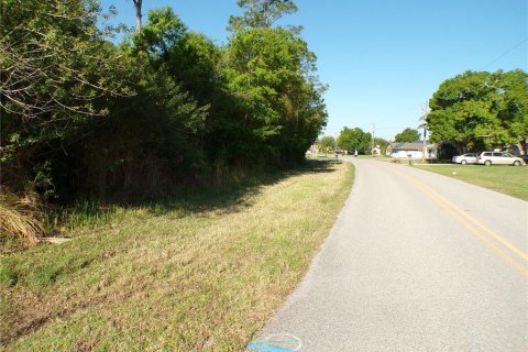 Land in Punta Gorda, Florida № 2160693 - photo 3