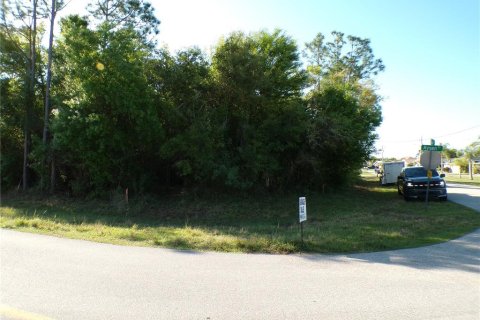 Land in Punta Gorda, Florida № 2160693 - photo 5