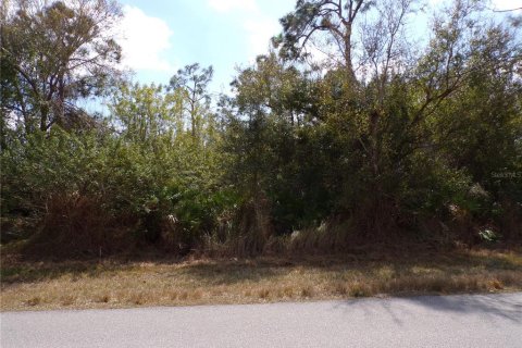 Land in Punta Gorda, Florida № 2160693 - photo 15