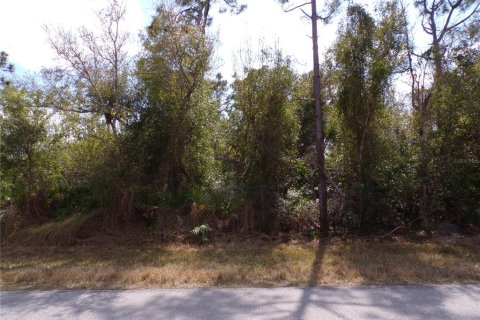 Land in Punta Gorda, Florida № 2160693 - photo 19