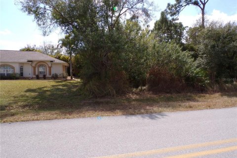 Land in Punta Gorda, Florida № 2160693 - photo 16