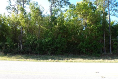 Land in Punta Gorda, Florida № 2160693