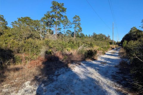 Land in Orange City, Florida № 2259042 - photo 4