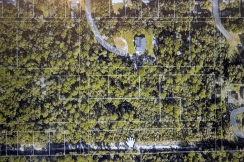 Land in Orange City, Florida № 2259042 - photo 3