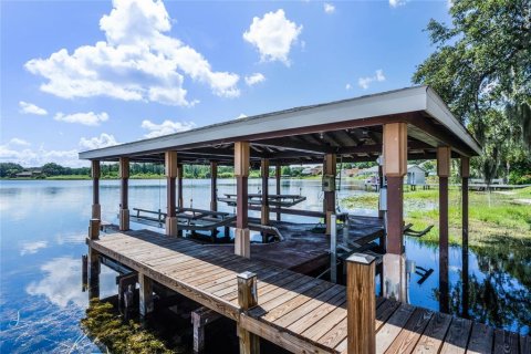 Villa ou maison à vendre à Windermere, Floride: 5 chambres, 634.89 m2 № 1717611 - photo 20