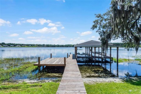 Villa ou maison à vendre à Windermere, Floride: 5 chambres, 634.89 m2 № 1717611 - photo 18
