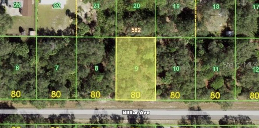Land in Port Charlotte, Florida № 2162818