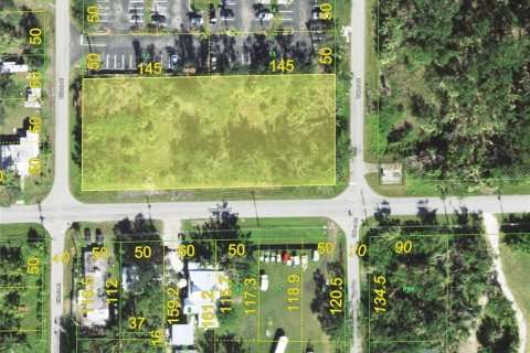Terreno en venta en Punta Gorda, Florida № 1279075 - foto 14
