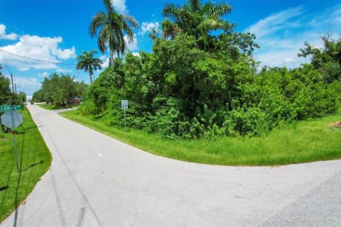 Terreno en venta en Punta Gorda, Florida № 1279075 - foto 17