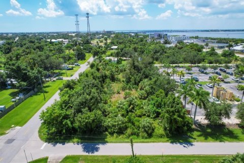 Terreno en venta en Punta Gorda, Florida № 1279075 - foto 13