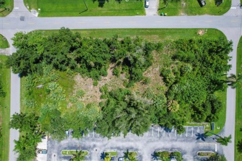 Terreno en venta en Punta Gorda, Florida № 1279075 - foto 18