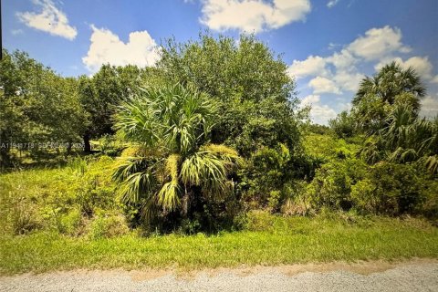 Terrain à Punta Gorda, Floride № 2152743