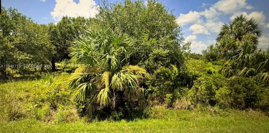 Terrain à Punta Gorda, Floride № 2152743