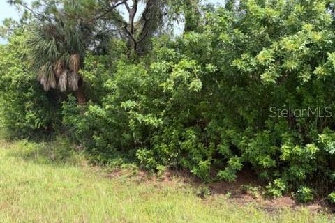 Land in Port Charlotte, Florida № 2393681