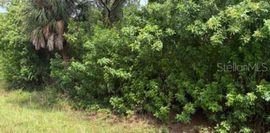 Land in Port Charlotte, Florida № 2393681