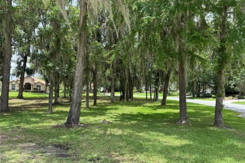 Terrain à vendre à Ocala, Floride № 1787806 - photo 2