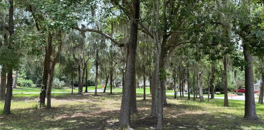 Terrain à Ocala, Floride № 1787806