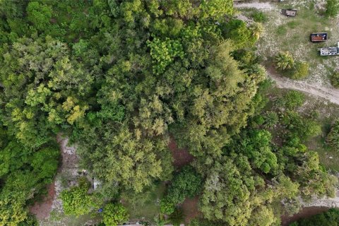 Terrain à vendre à Tavares, Floride № 1541031 - photo 5