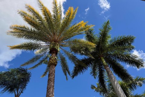 Casa en venta en Port St. Lucie, Florida, 2 dormitorios, 141.77 m2 № 2175848 - foto 27