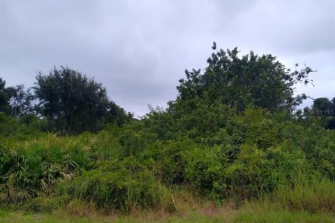 Terrain à Port Charlotte, Floride № 2273263