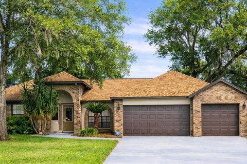 Villa ou maison à Dover, Floride 4 chambres, 223.24 m2 № 2136631