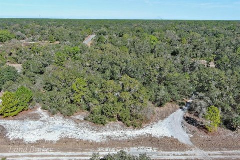 Terrain à vendre à North Port, Floride № 2160961 - photo 5