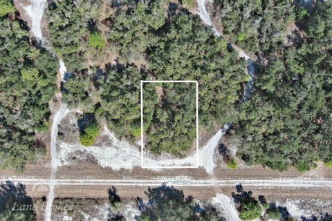 Terrain à North Port, Floride № 2160961