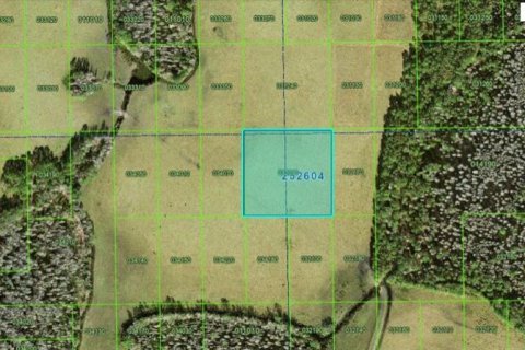Terreno en Polk City, Florida № 2164014