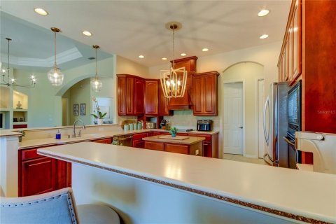 House in Odessa, Florida 3 bedrooms, 250.37 sq.m. № 2237213 - photo 30