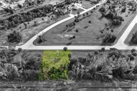 Terrain à vendre à Placida, Floride № 2094116 - photo 6