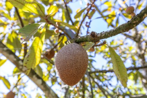 Commercial property in Homestead, Florida № 1978189 - photo 14
