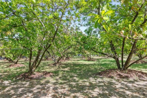 Commercial property in Homestead, Florida № 1978189 - photo 10