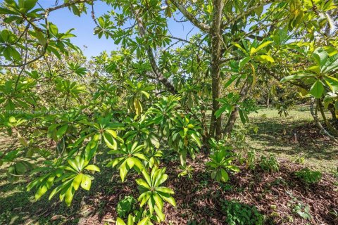 Commercial property in Homestead, Florida № 1978189 - photo 11