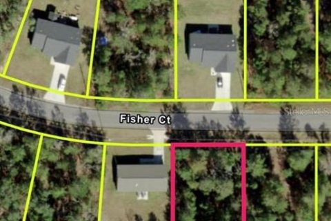 Land in Ocklawaha, Florida № 2228554