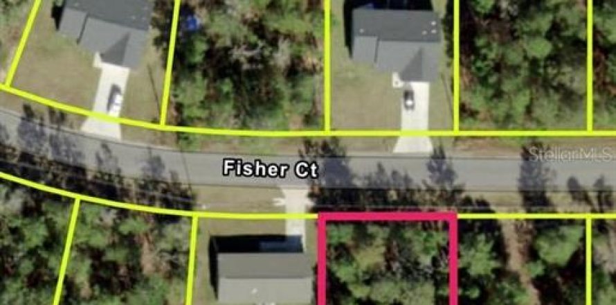 Land in Ocklawaha, Florida № 2228554