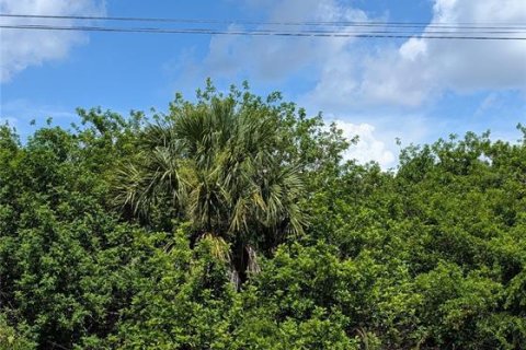 Terreno en Port Charlotte, Florida № 2201468