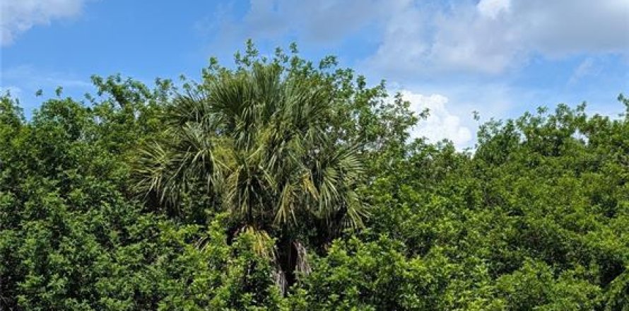 Land in Port Charlotte, Florida № 2201468