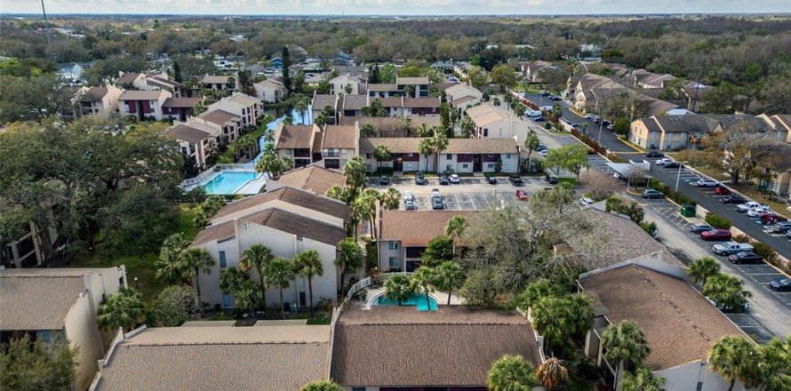 Condo à Tampa, Floride, 2 chambres № 1511074