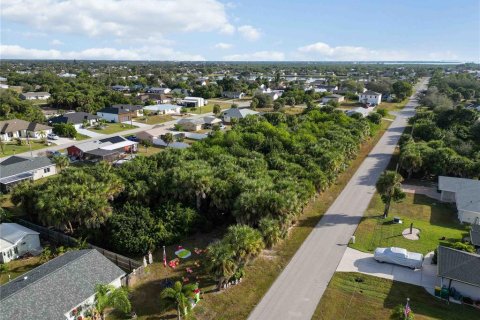 Land in Port Charlotte, Florida № 2159899 - photo 21