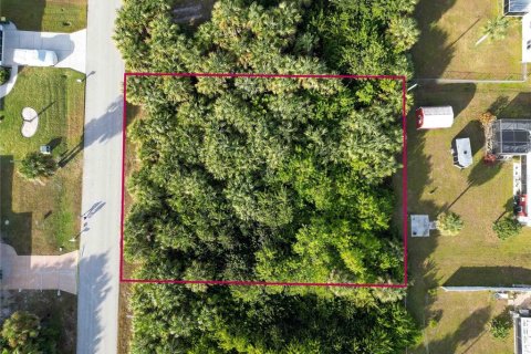 Land in Port Charlotte, Florida № 2159899 - photo 2