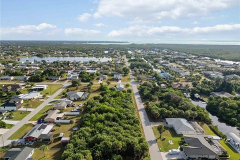 Land in Port Charlotte, Florida № 2159899 - photo 13