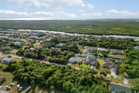 Land in Port Charlotte, Florida № 2159899 - photo 19