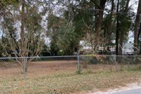 Land in Ocala, Florida № 2229801
