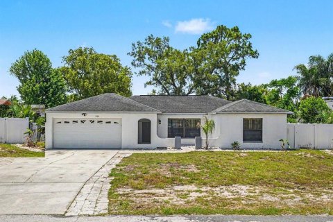Villa ou maison à Spring Hill, Floride 3 chambres, 165.37 m2 № 2112240